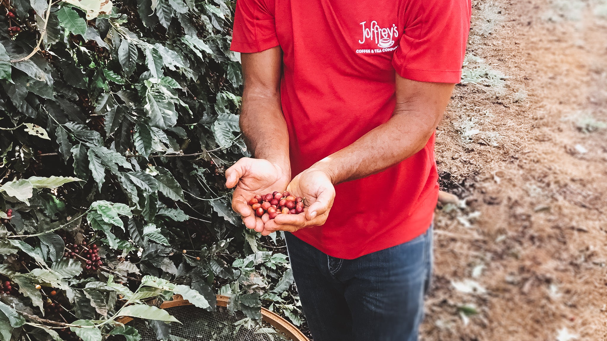 Joffrey's Single Origin Coffees