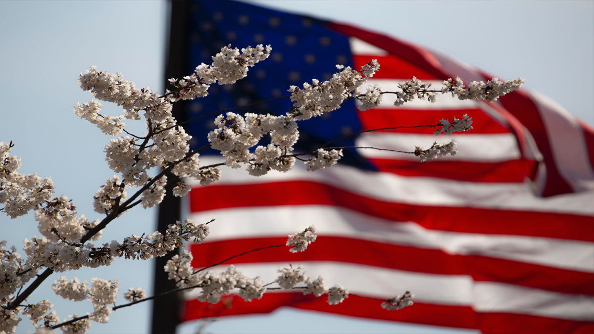 Remembering our heroes
