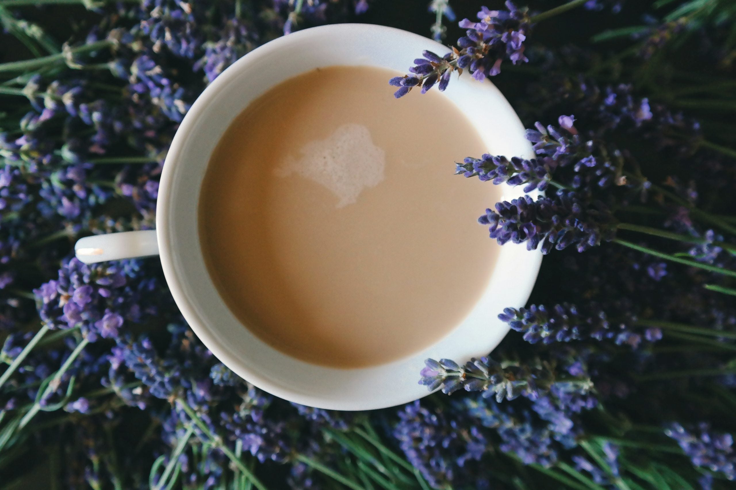 Lavender Vanilla Latte Recipe