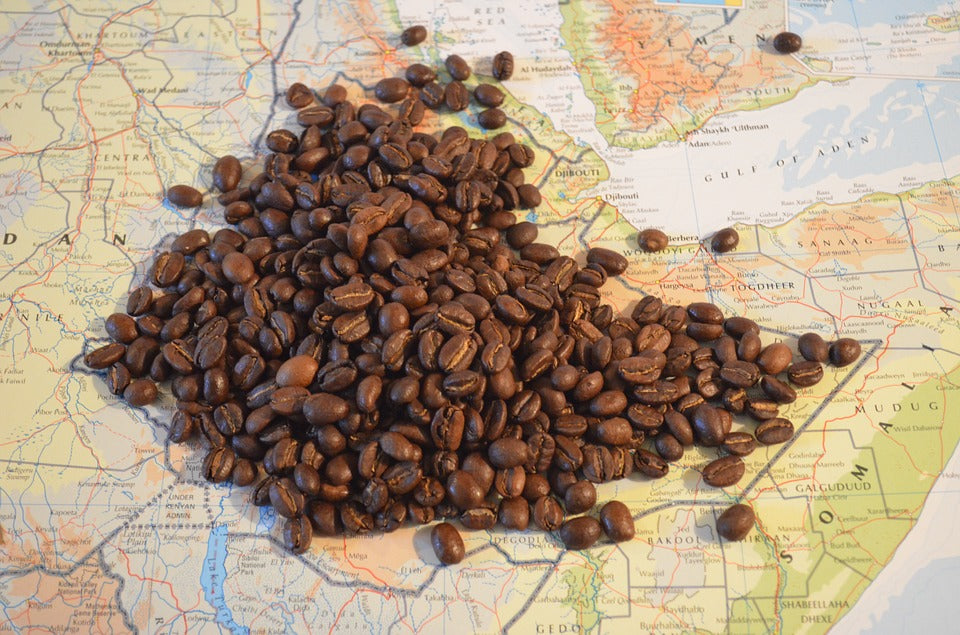 What Gives Organic Origin Coffees Their Taste? It's The Attitude of the Latitude & The Flavor of the Land