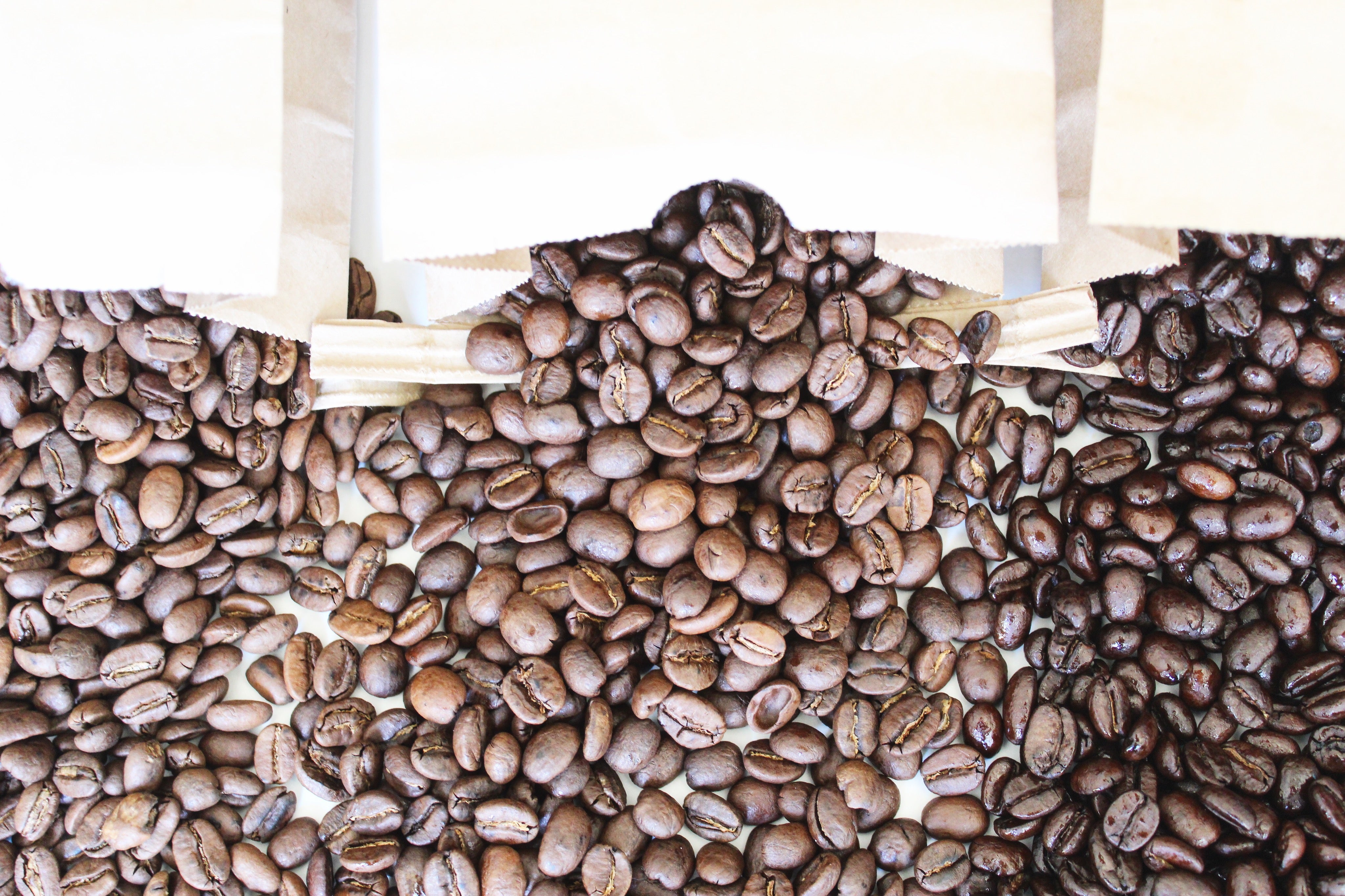 Medium, Dark or Blend Roasts: Do You Know the Difference?