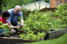 The Many Uses of Coffee - Mary, Mary Quite Contrary How does your Garden Grow?