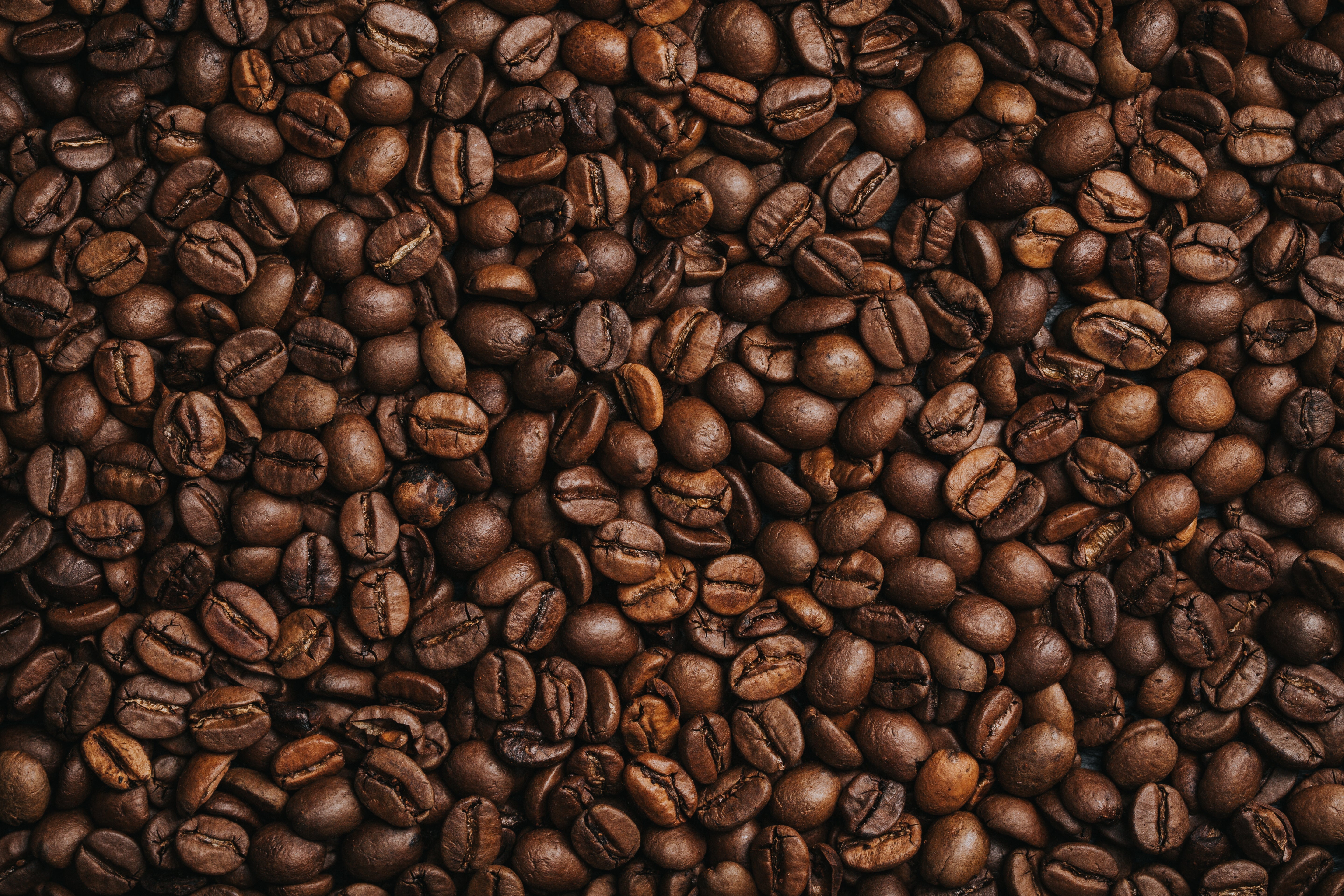 SET SAIL FOR THE GASPARILLA COFFEE FLIGHT AT MIDTOWN TAMPA