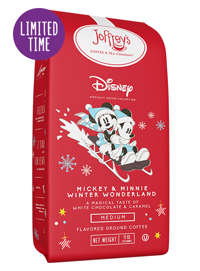 Disney Mickey & Minnie Winter Wonderland