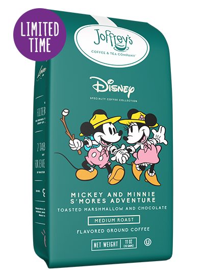 Disney Mickey and Minnie S’mores Adventure